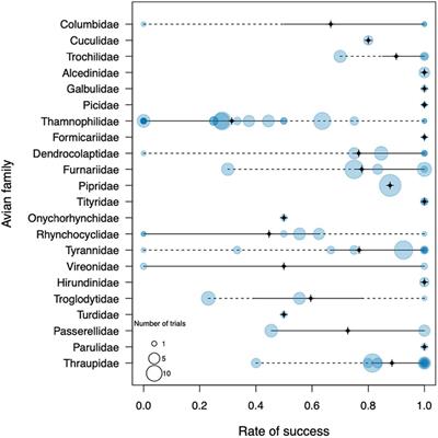 Riverine Barriers as Obstacles to Dispersal in Amazonian Birds